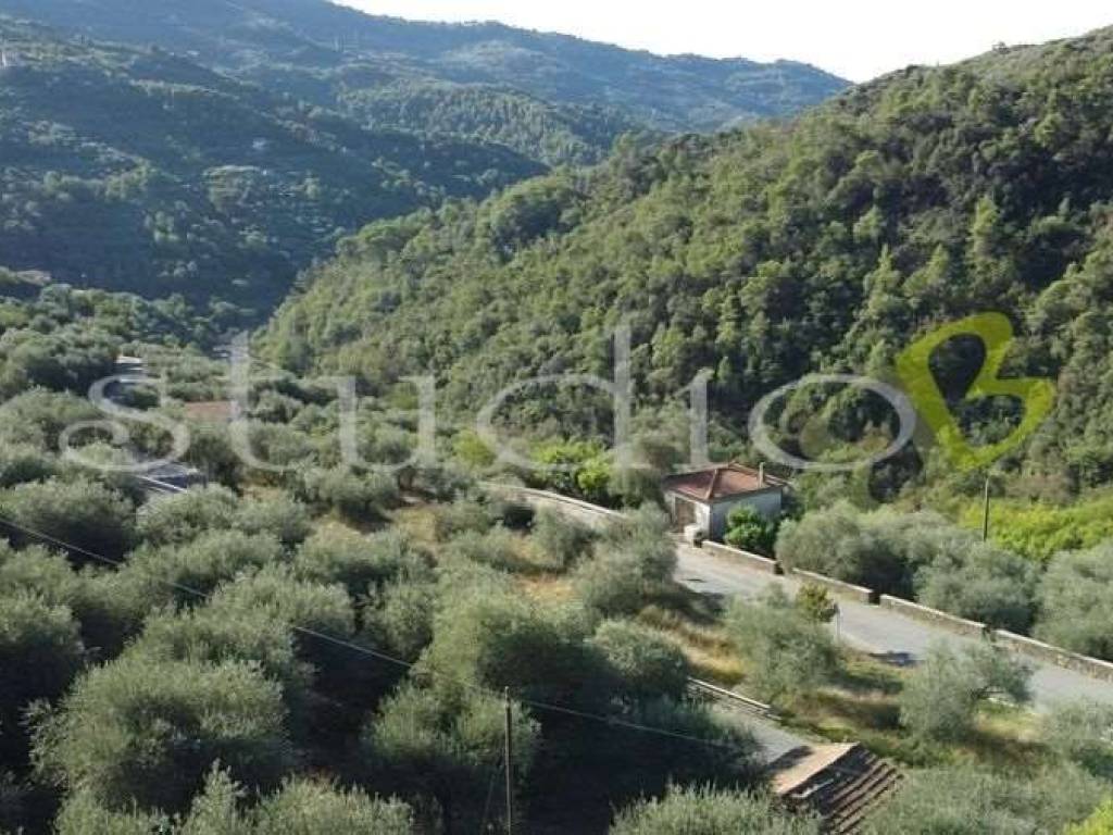 Rustico / casale a Perinaldo in Strada Provinciale, snc - Foto 5