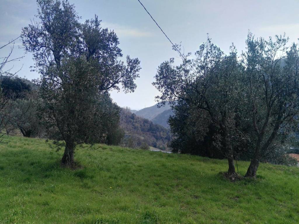 Terreno a Varazze in Via Pero - Foto 4
