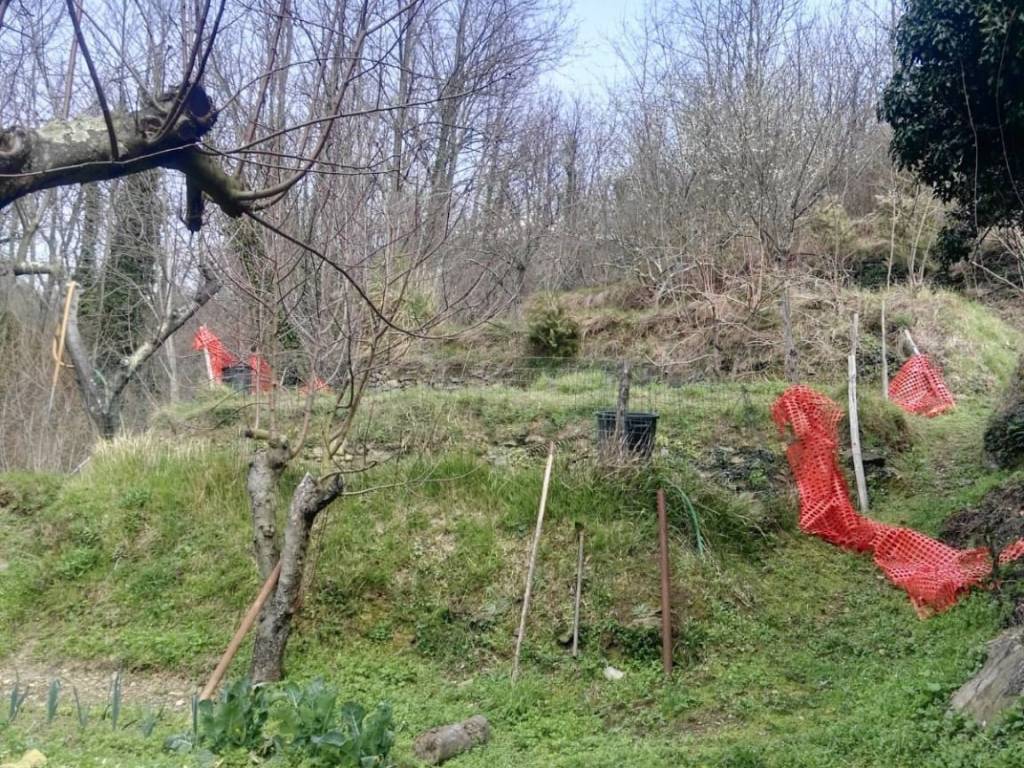 Terreno a Varazze in Via Pero - Foto 5