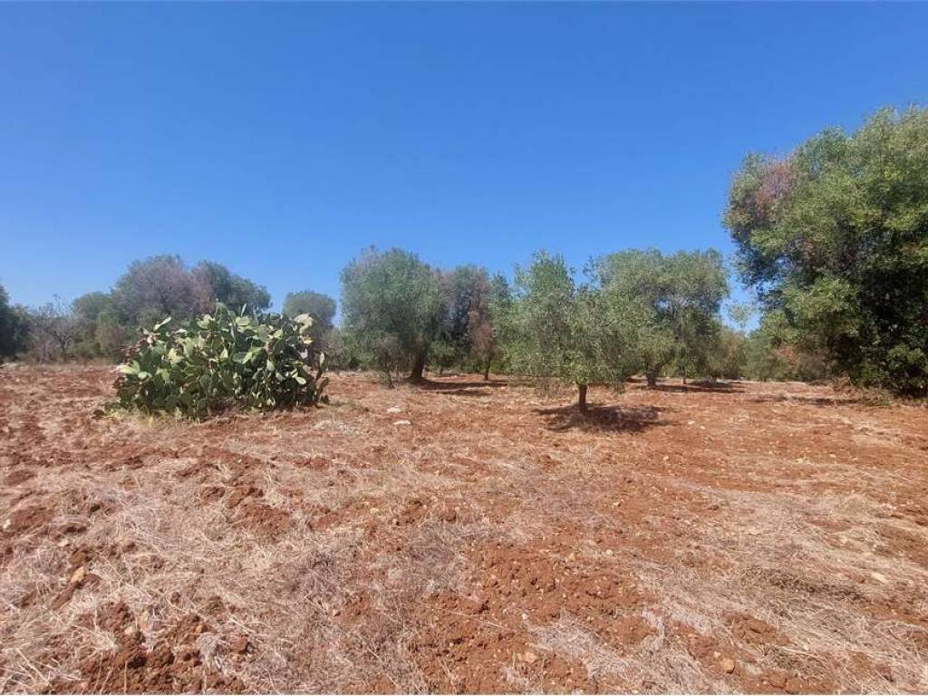 Terreno a Carovigno - Foto 3