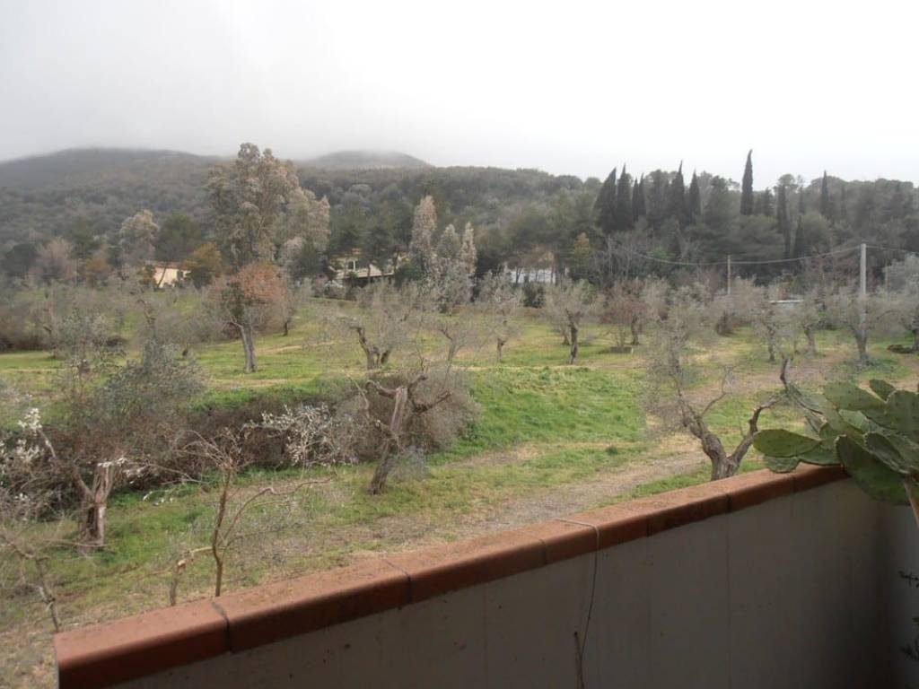 Appartamento a Gavorrano - Foto 2