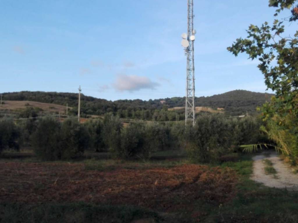 Terreno a Campiglia marittima in Località Ulivastrino - Foto 2