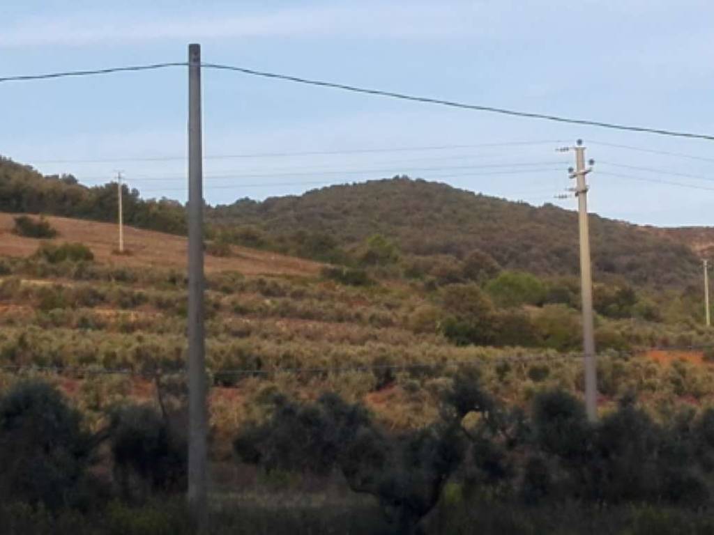 Terreno a Campiglia marittima in Località Ulivastrino - Foto 4