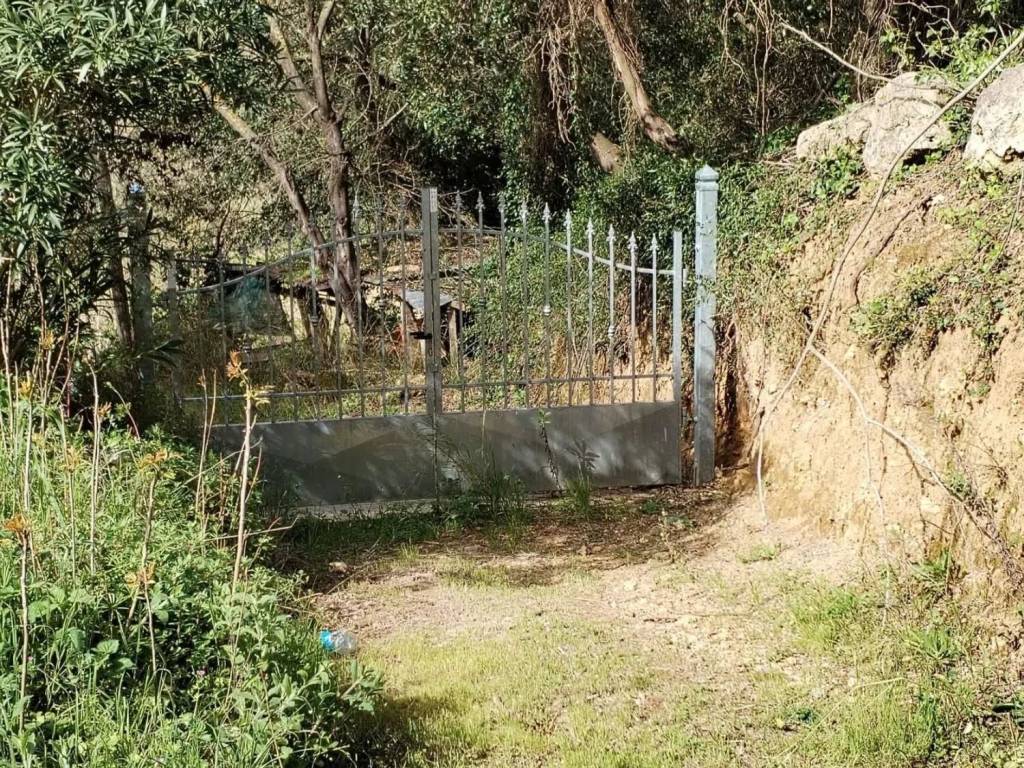 Terreno a Bibbona in Strada Provinciale Della Camminata, 57020 - Foto 5