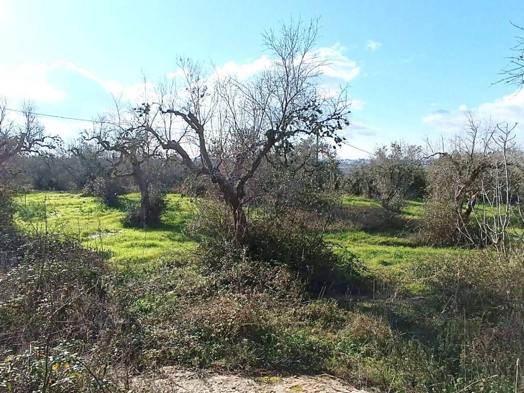 Terreno a Poggiardo in Via Comunale Turri - Foto 3