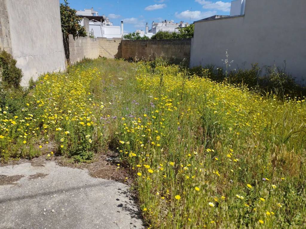 Terreno a Tricase in Via Levi - Civita S.N.C. - Foto 5
