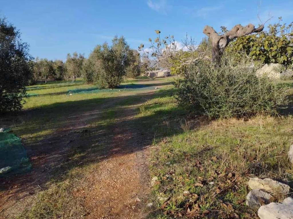 Rustico / casale a Tiggiano in Strada Vicinale Moro S.N.C. - Foto 3