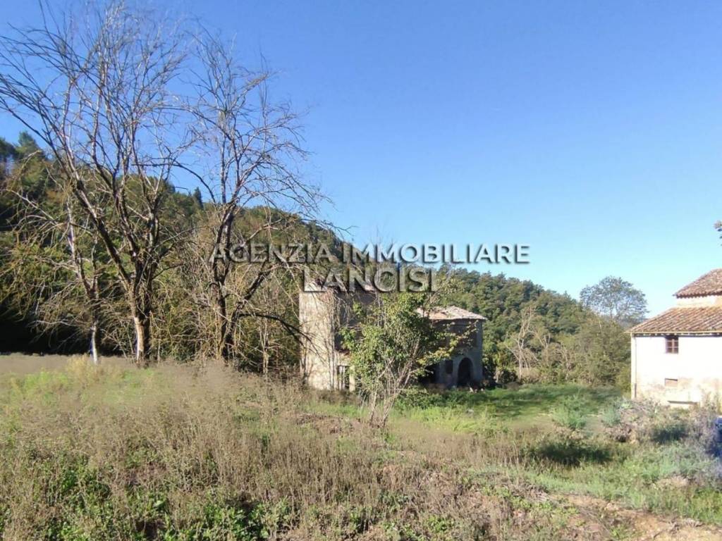 Rustico / casale a Citerna - Foto 5