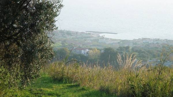 Terreno a Belvedere marittimo in Contrada Olivella - Foto 3