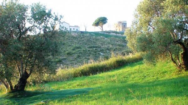 Terreno a Belvedere marittimo in Contrada Olivella - Foto 4