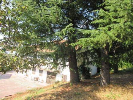 Rustico / casale a Bra in MONTELUPO ALBESE - Foto 3