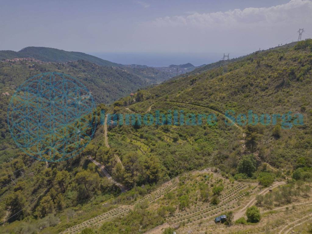 Terreno a Seborga - Foto 2