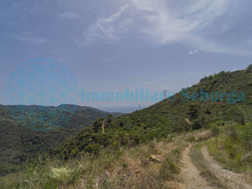 Terreno a Seborga - Foto 3