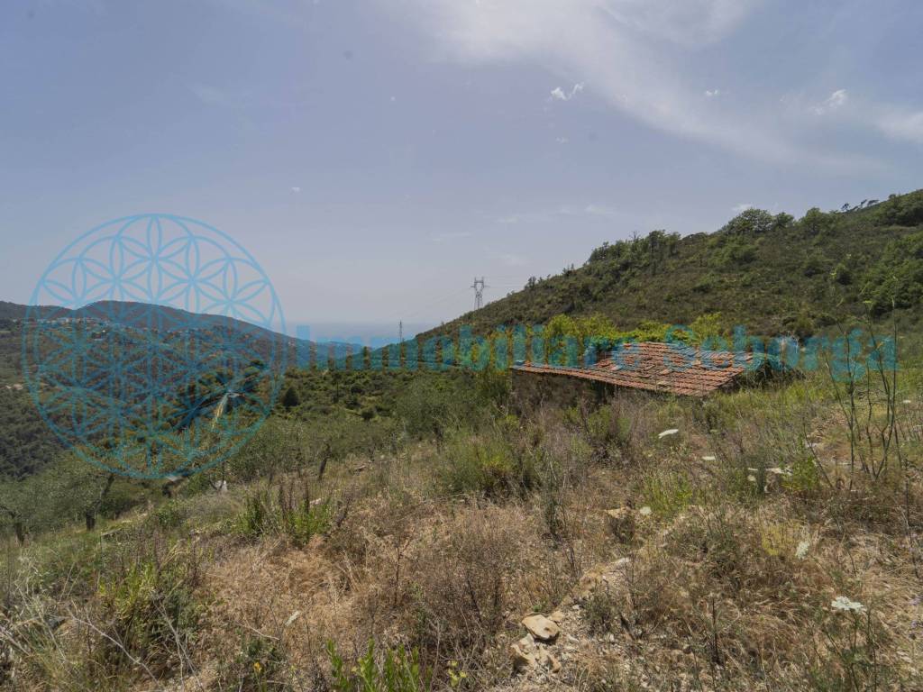 Terreno a Seborga - Foto 4