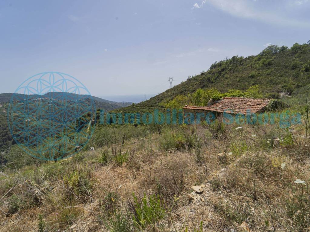 Terreno a Seborga - Foto 5