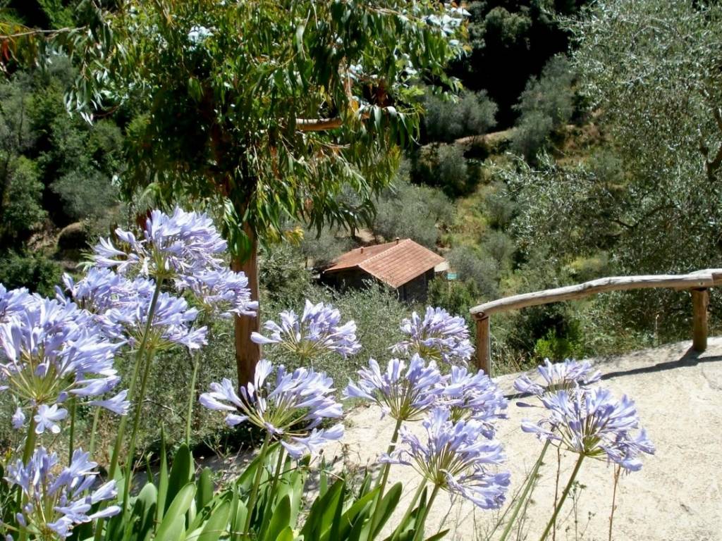 Villa a Bajardo in Località Vinazza - Foto 5