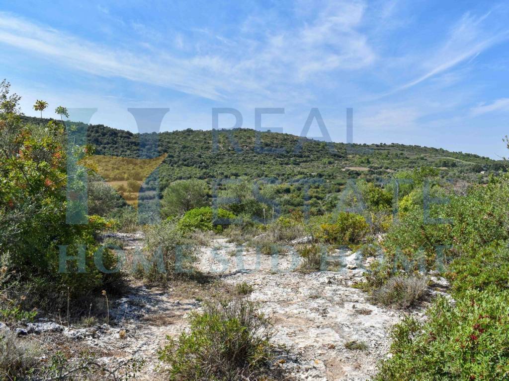 Rustico / casale a Noto in Via Tommaso Fazello, 228 - Foto 3