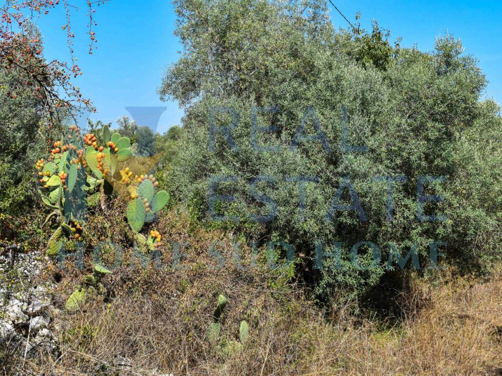 Rustico / casale a Noto in Via Tommaso Fazello, 228 - Foto 4