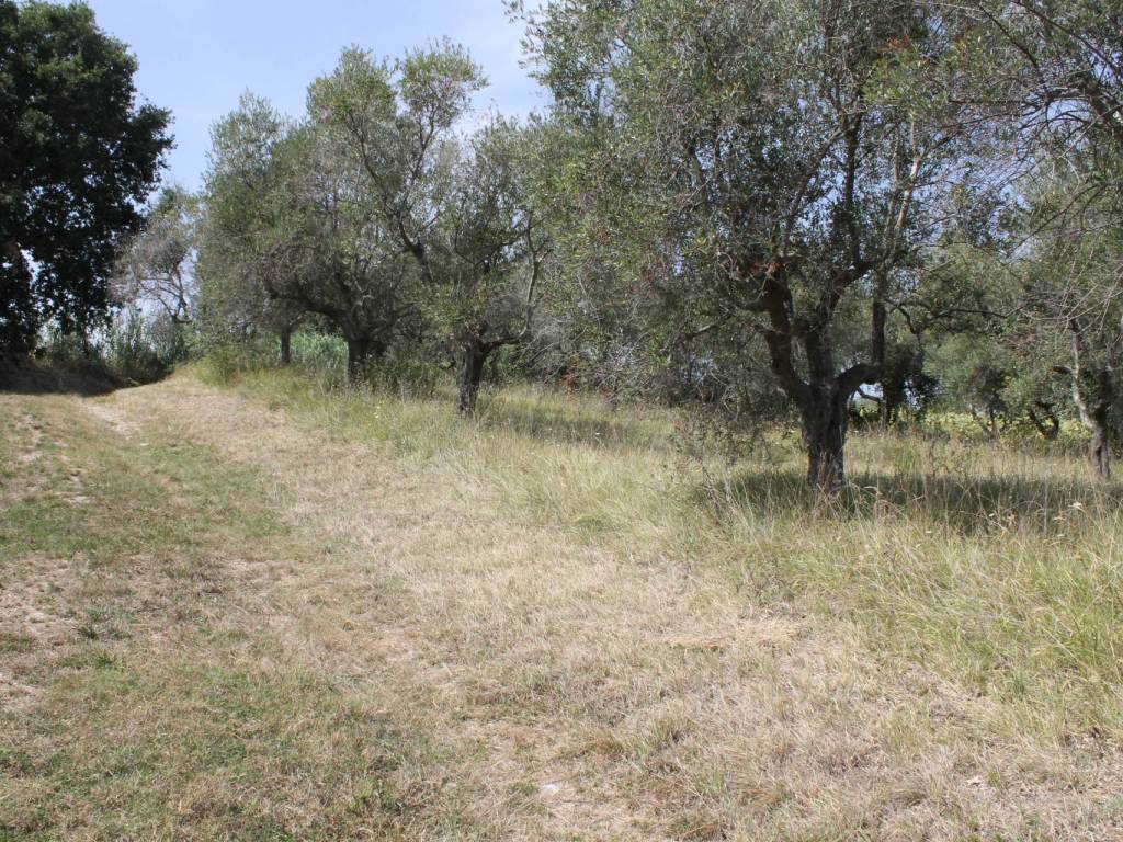 Rustico / casale a Recanati in Contrada San Francesco - Foto 4