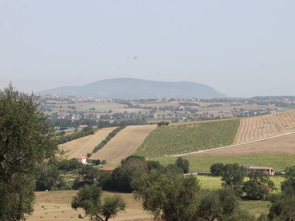 Rustico / casale a Recanati in Contrada San Francesco - Foto 5