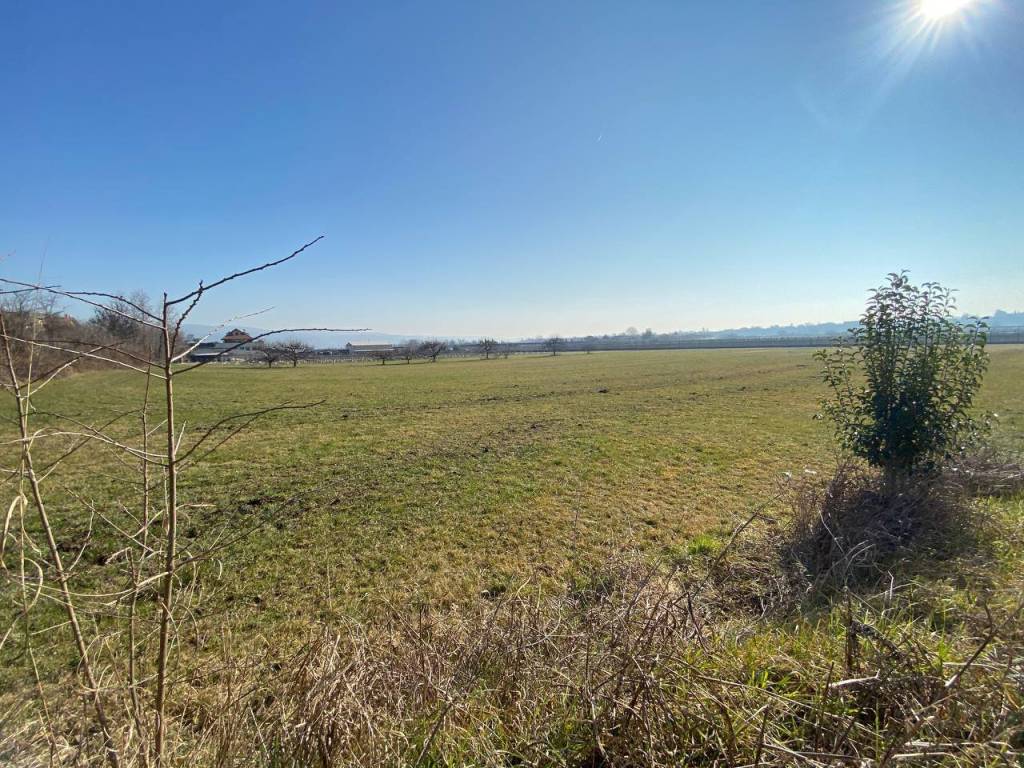 Terreno a Pescantina in Via Mirandola - Foto 5