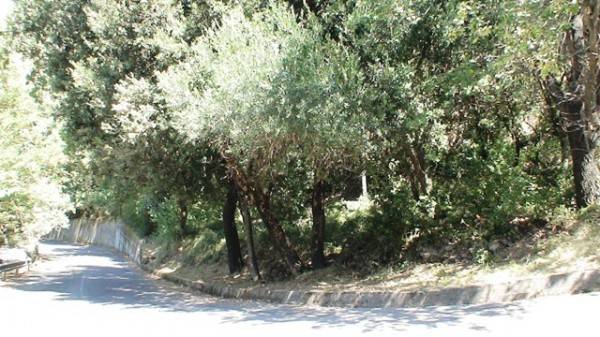 Terreno a Maratea in marina maratea - Foto 2