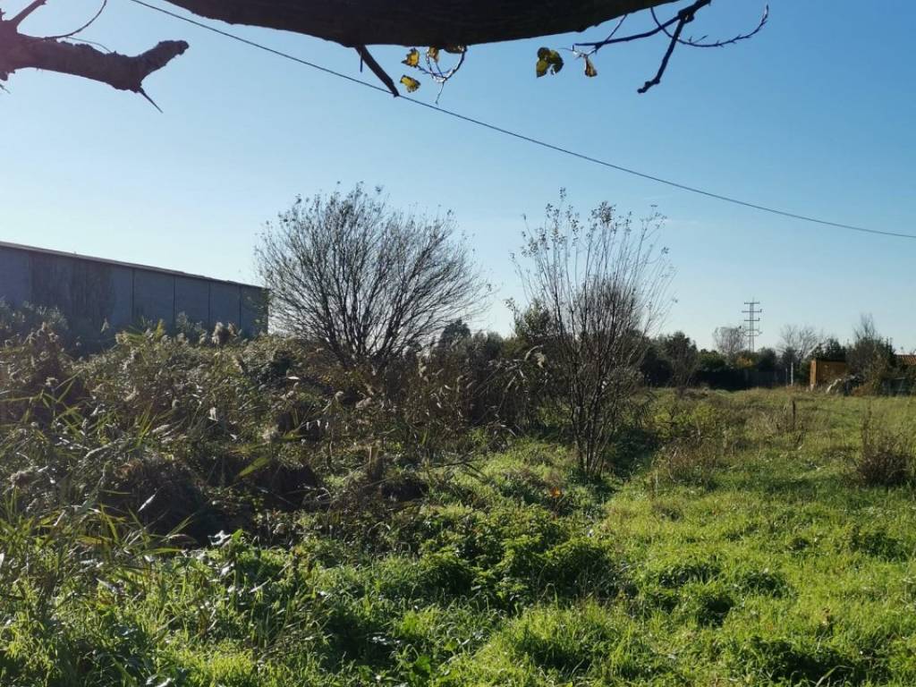 Immobile a Massarosa in Via Sirti - Foto 3