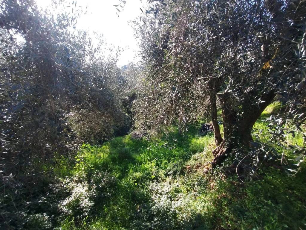 Terreno a Ventimiglia in Via Sant'Anna - Foto 2