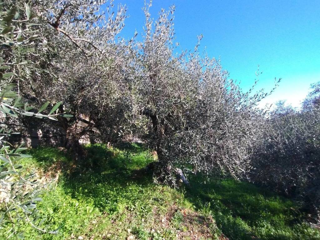 Terreno a Ventimiglia in Via Sant'Anna - Foto 3