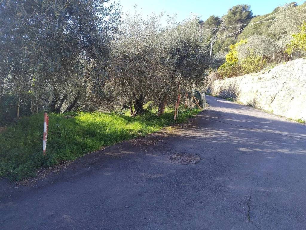 Terreno a Ventimiglia in Via Sant'Anna - Foto 5