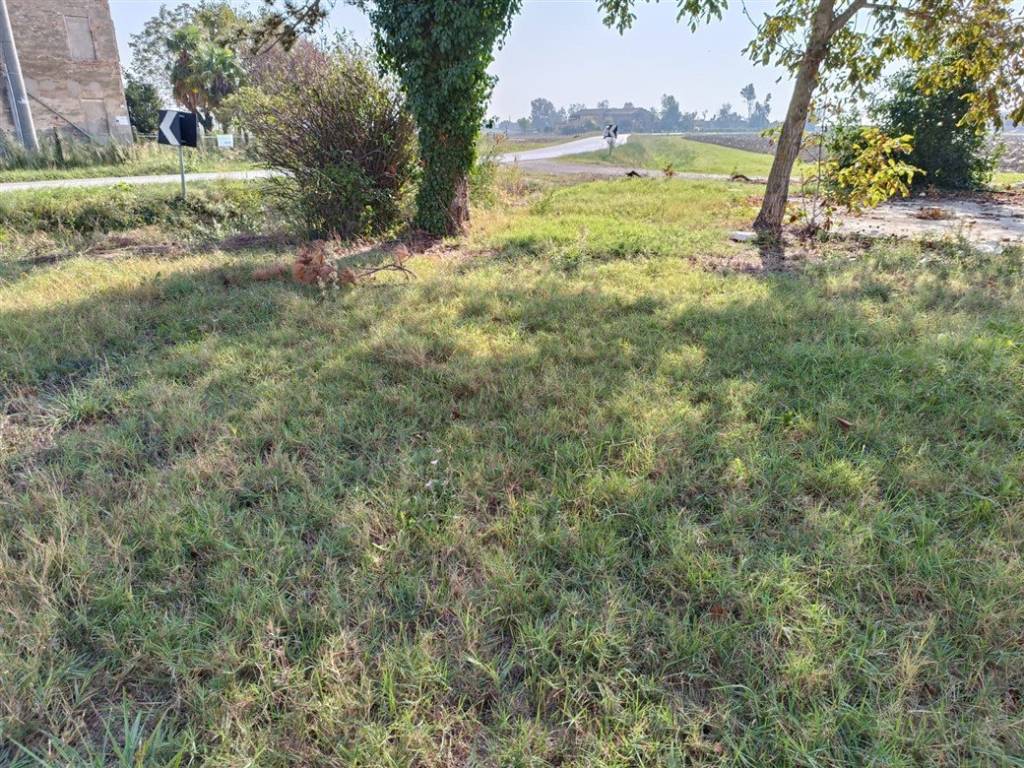 Villa a Lugo in Via Fiumazzo, 447 - Foto 4