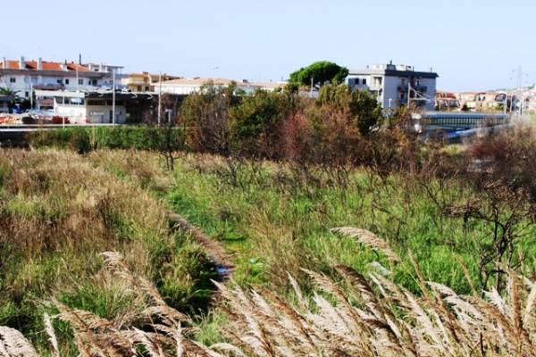 Terreno a Scalea in via pitagora - Foto 5