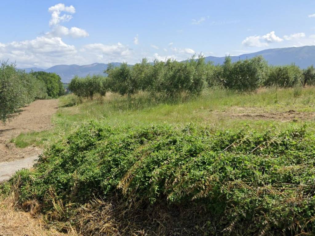 Terreno a Castel ritaldi in Castel Ritaldi - Foto 2