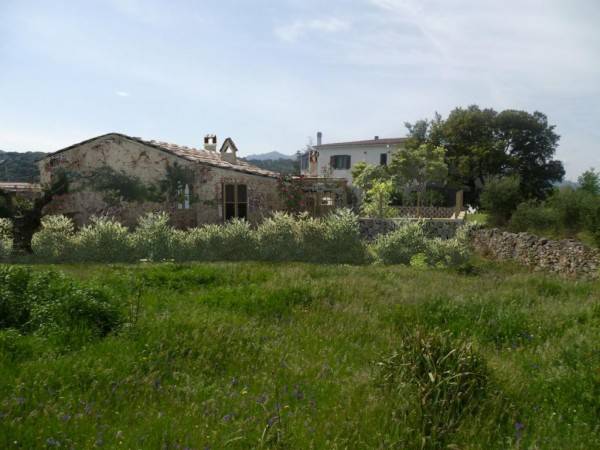 Terreno a Loiri porto san paolo in Via Santa Giusta - Foto 5