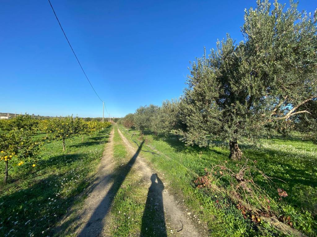 Villa a Noto in bommiscuro - Foto 2