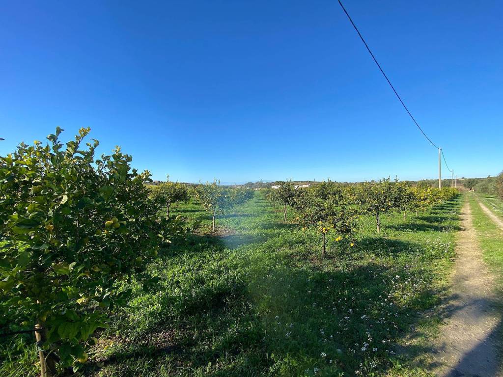 Villa a Noto in bommiscuro - Foto 3