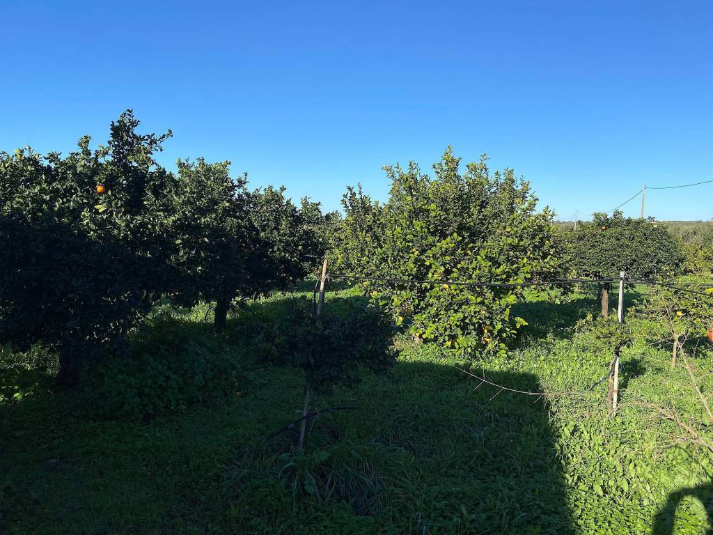 Villa a Noto in bommiscuro - Foto 4