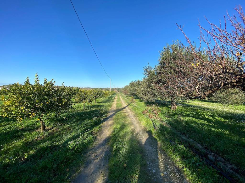 Villa a Noto in bommiscuro - Foto 5