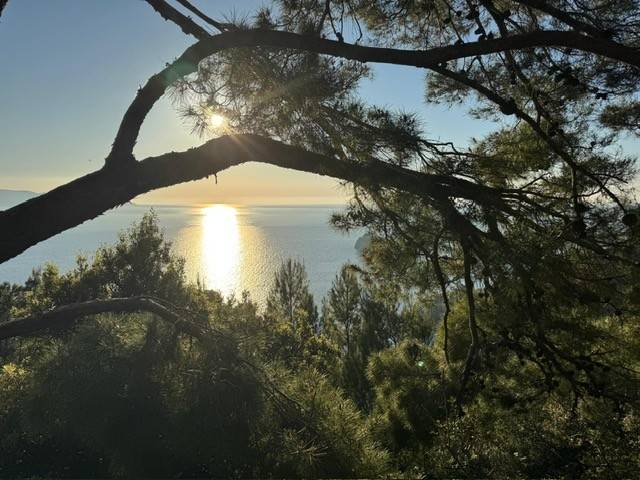 Villa a Monte argentario in Strada Provinciale Panoramica Porto Santo Stefano - Foto 2