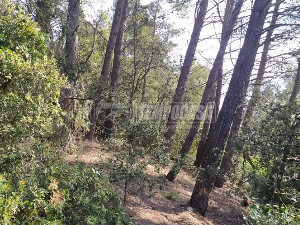 Terreno a Sirolo in Via Mortarolo, 4 - Foto 3