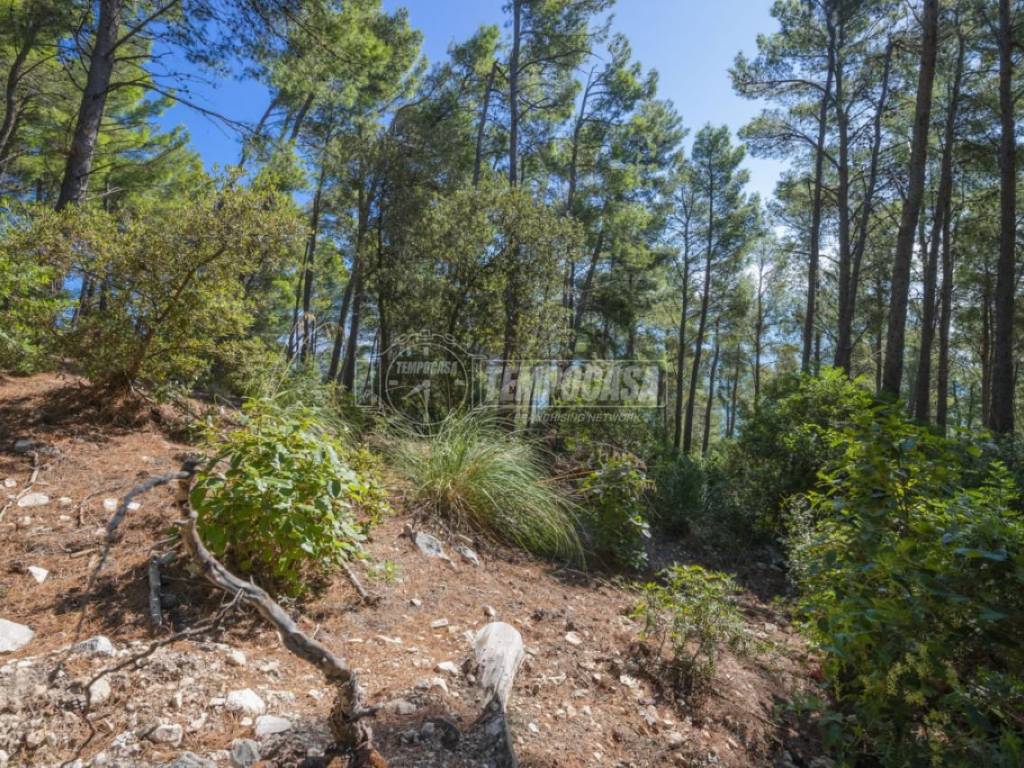 Terreno a Sirolo in Via Mortarolo, 4 - Foto 4