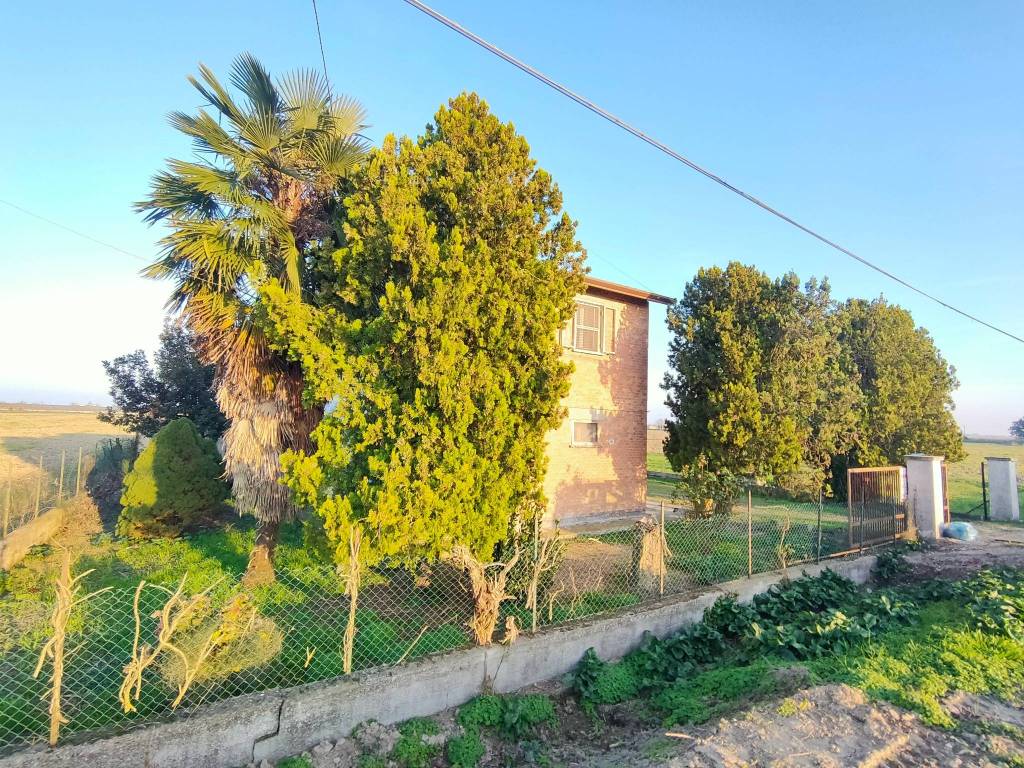 Villa a Taglio di po - Foto 3