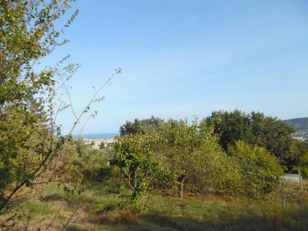 Terreno a Monteprandone in Contrada San Donato - Foto 3