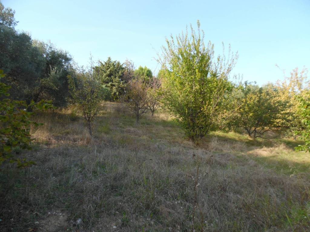 Terreno a Monteprandone in Contrada San Donato - Foto 4