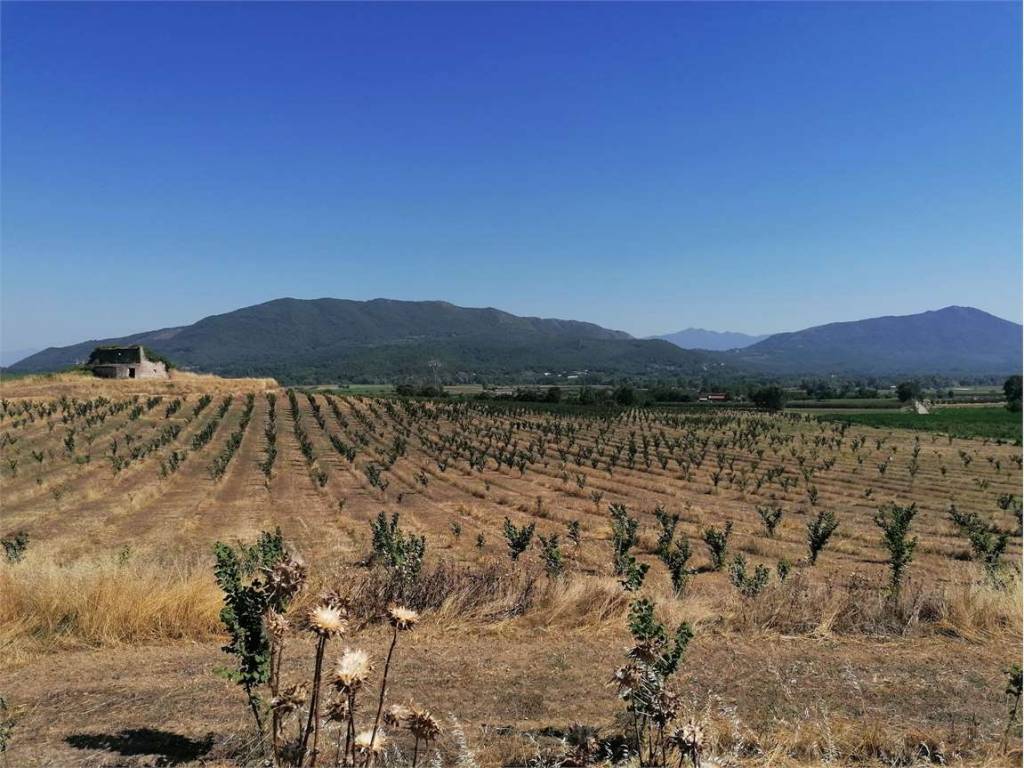 Terreno a Pietramelara - Foto 2