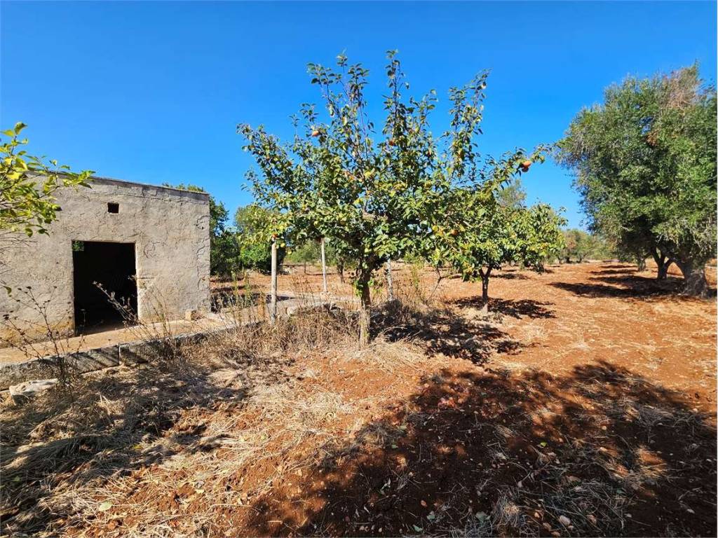Terreno a Carovigno - Foto 2