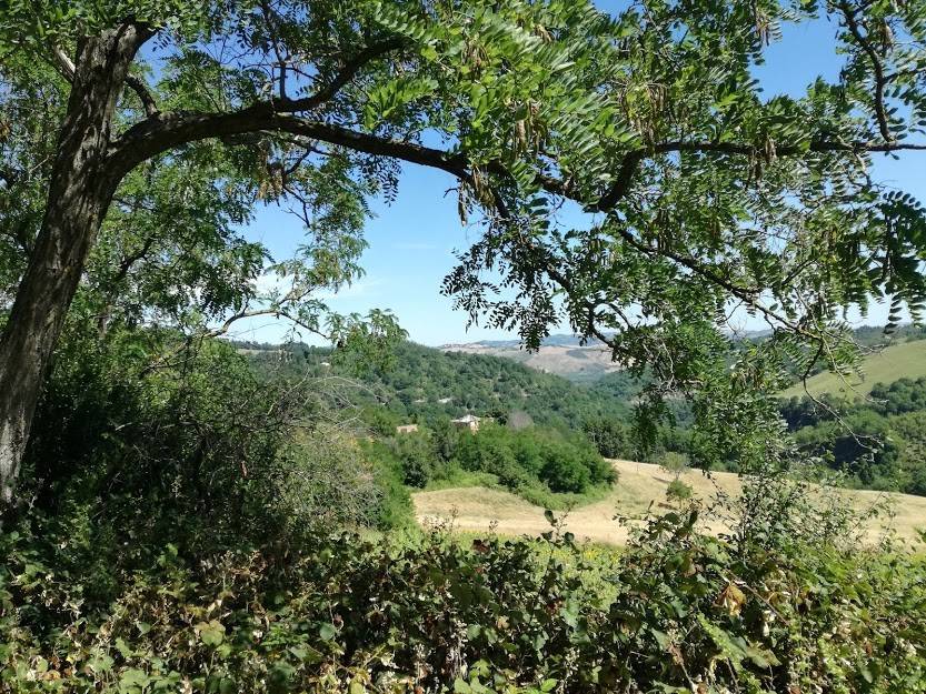 Rustico / casale a Urbino in Strada Vicinale, 1 - Foto 3
