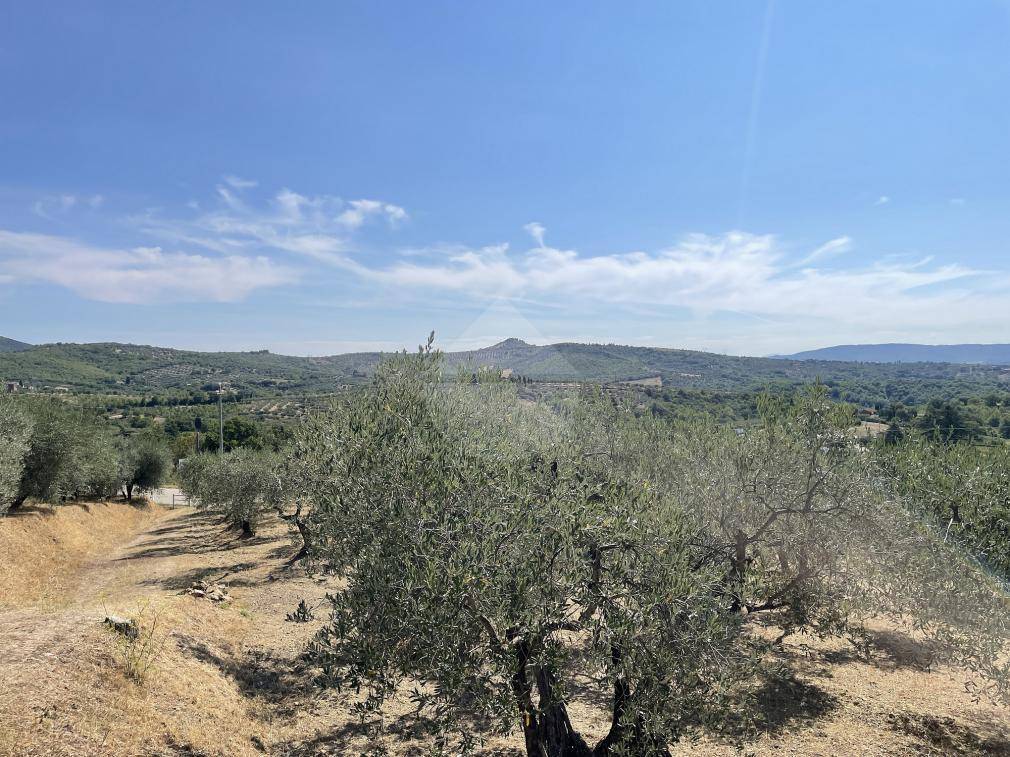 Terreno a Panicale in Viale della Repubblica - Foto 5