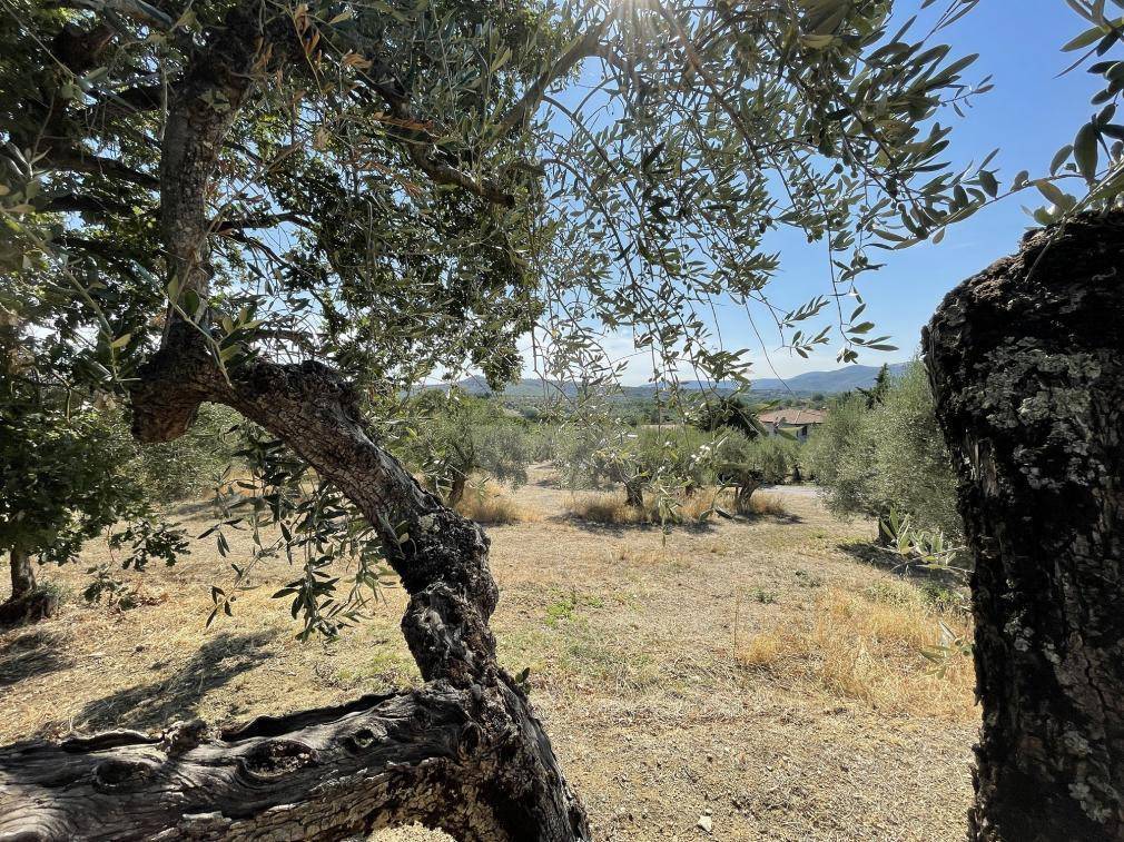 Terreno a Panicale in Viale della Repubblica - Foto 2