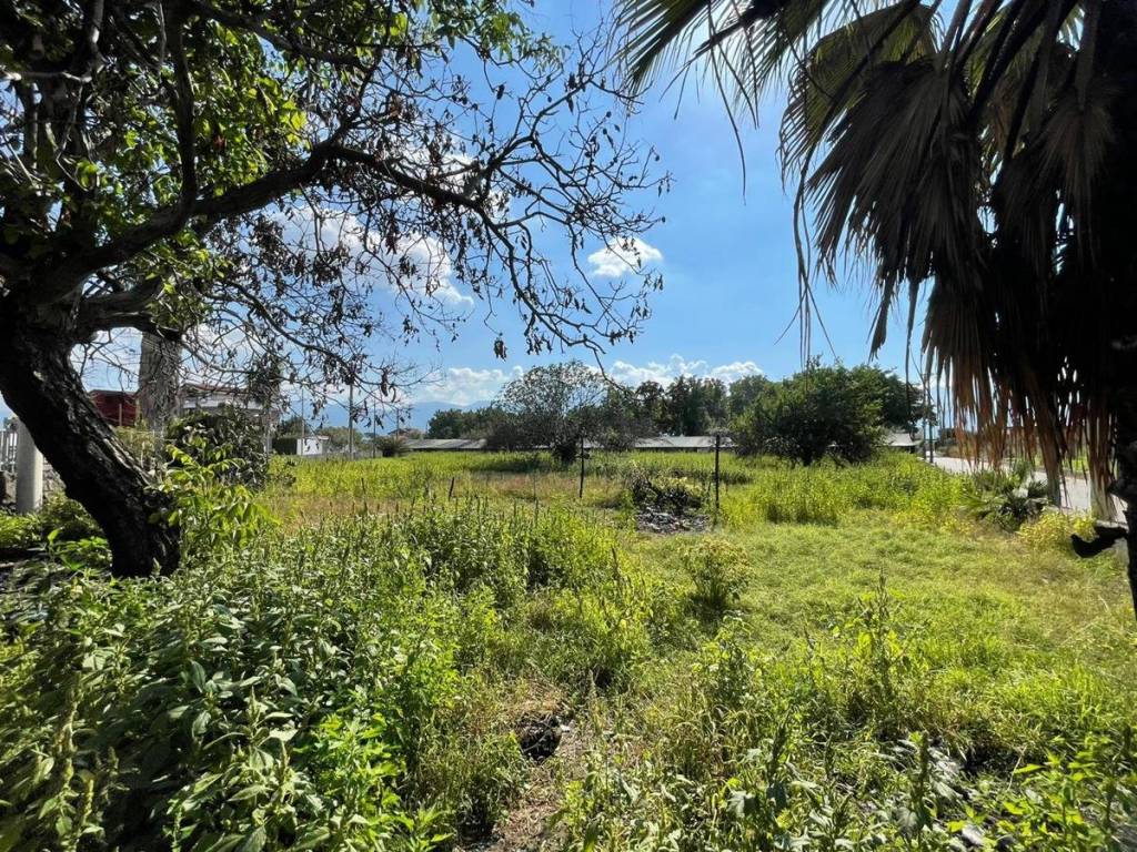Terreno a Scafati in VIA VICINALE BOSSA, SNC - Foto 4